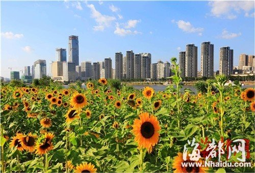 福州新聞網