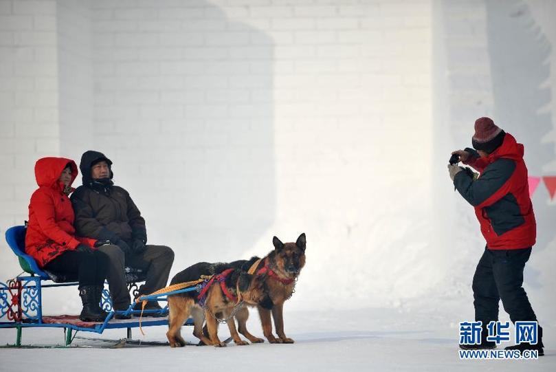 （社會）（5）冰天雪地慶新年 