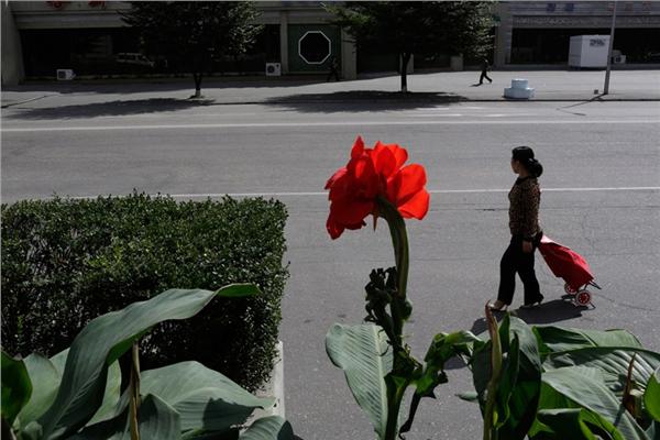 貧窮與富裕 揭兩極分化的朝鮮