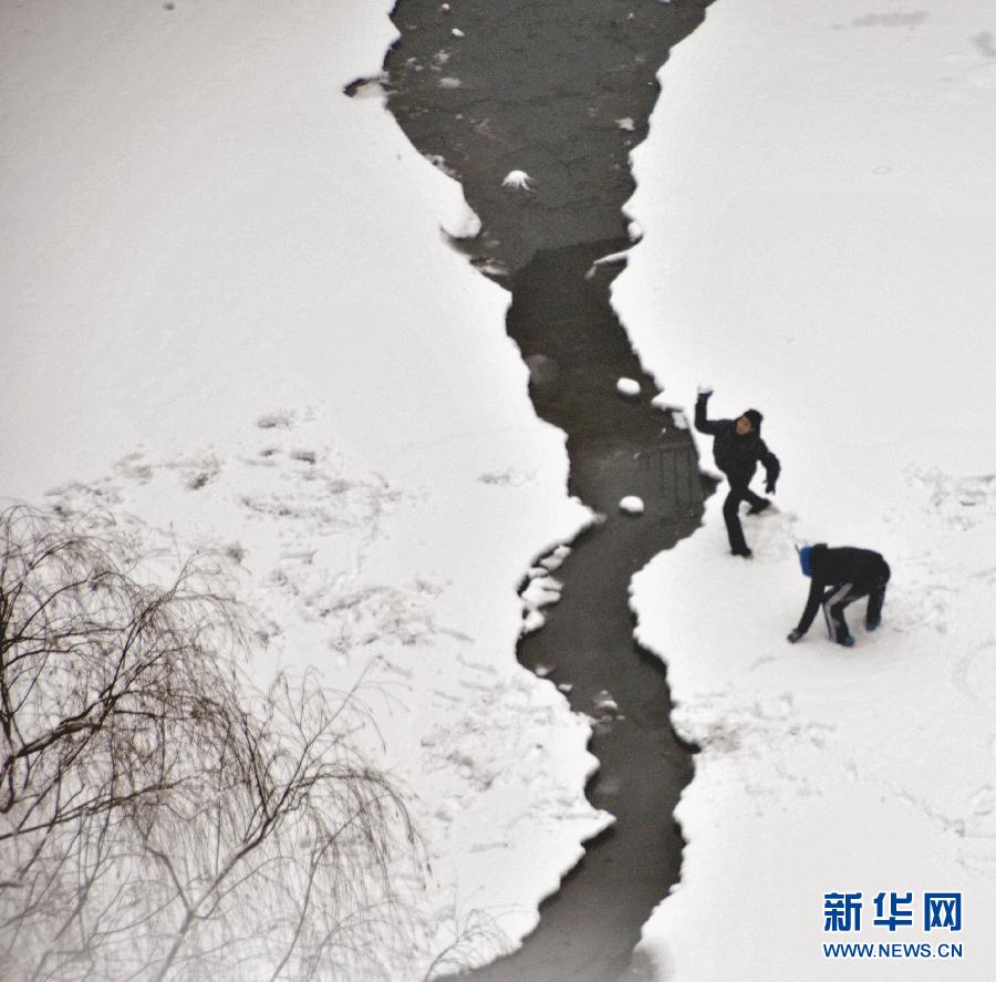 （生態）（4）濟南大寒迎降雪