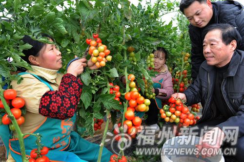 福州新聞網