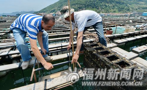福州新聞網(wǎng)