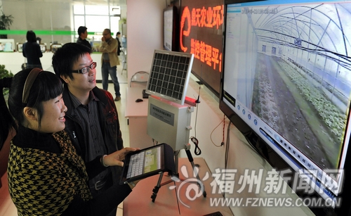 福州新聞網