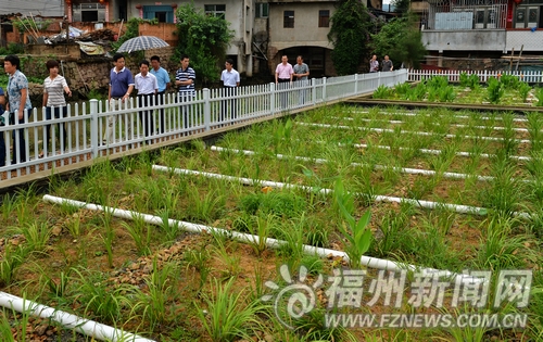 福州新聞網