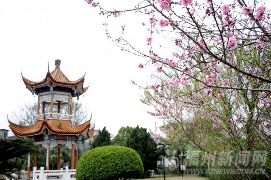 通過國家級生態區總評驗收　馬尾引生態創建熱潮