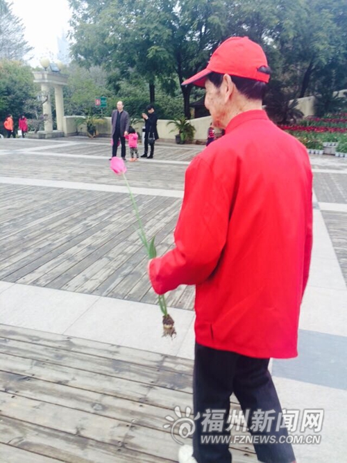 公園又現(xiàn)不文明：把花海踩禿　摧殘花枝造花瓣雨