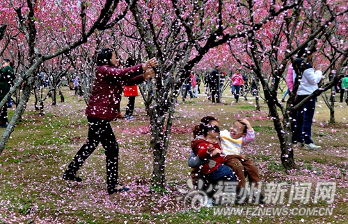 公園又現(xiàn)不文明：把花海踩禿　摧殘花枝造花瓣雨