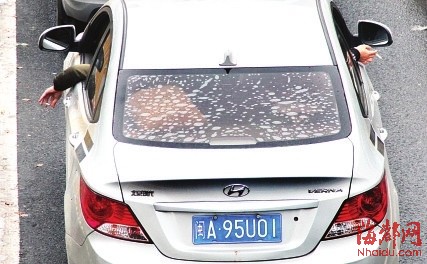 23日，五一中路，閩A95U01車上兩位乘客往車窗外彈煙灰。警方人士說，彈煙灰嚴(yán)格意義上也屬車窗拋物。曾有煙灰或煙頭被風(fēng)吹到后車中，致后車急剎險追尾