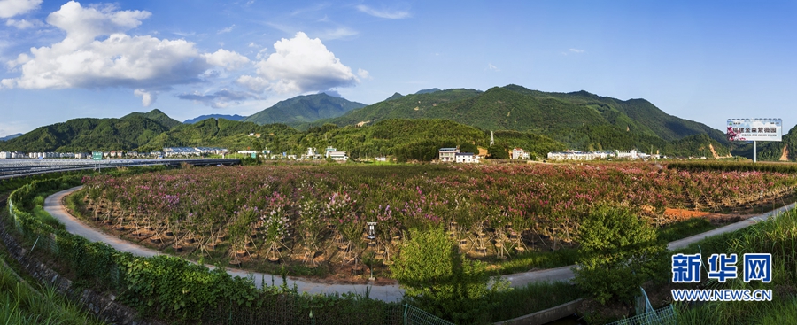 福建將樂:深呼吸小城的美麗春天