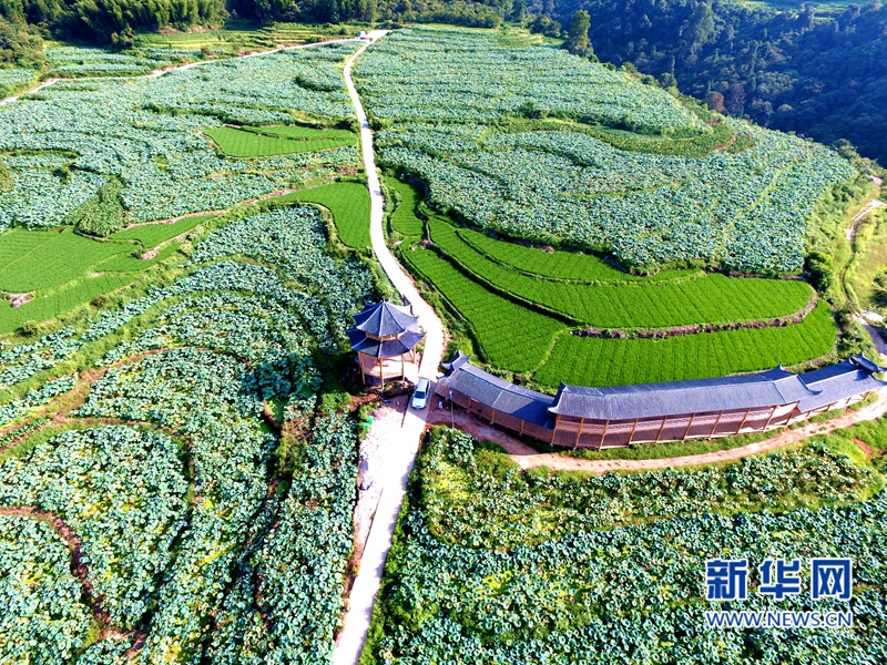 走進(jìn)龍巖、三明：紅土地上勁吹“多彩文化風(fēng)”