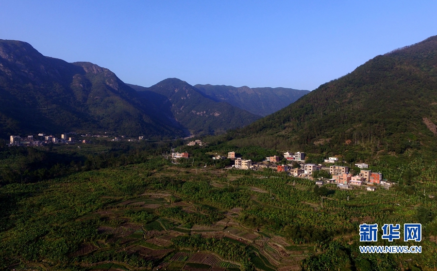 廈門“生態潛力股”汪前村：待到山花爛漫時 它在叢中笑