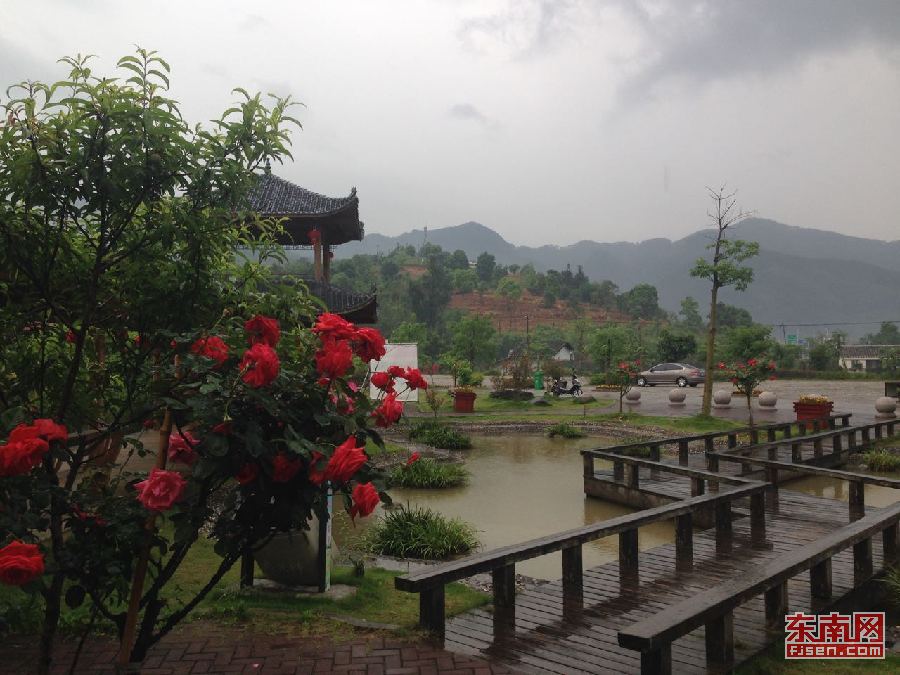 福州的普羅旺斯！閩侯縣孔元村期待“花”開(kāi)長(zhǎng)久