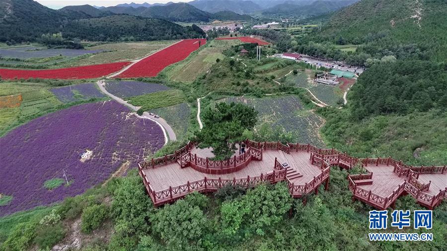 (十九大·讀報告 話民生)(10)加快生態文明體制改革,建設美麗中國